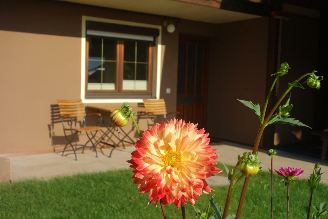 Apartment Steinkellner Tröpolach Esterno foto